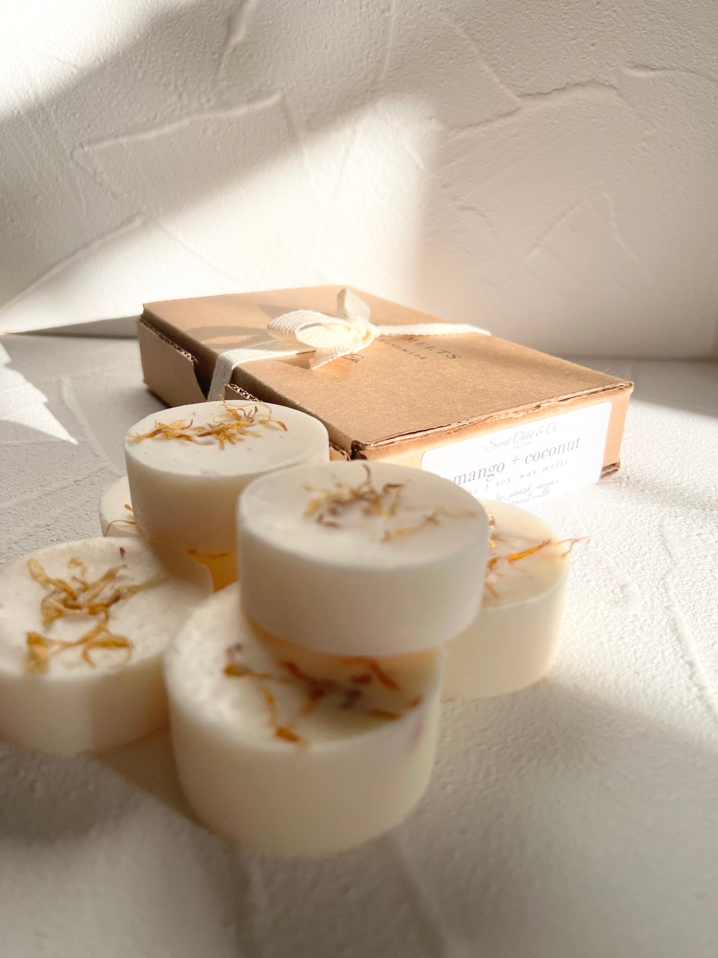 Soy Wax Melt Pods in a Box