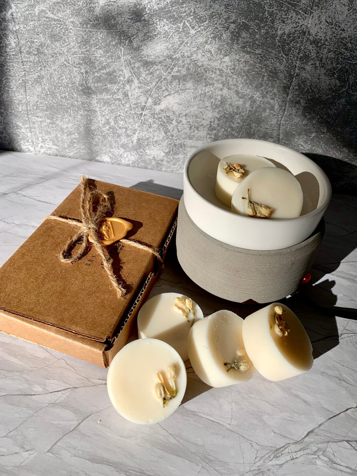 Wax Melt Warmer + Soy Wax Melt Pods Combo