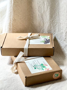 Soy Wax Melt Pods in a Box