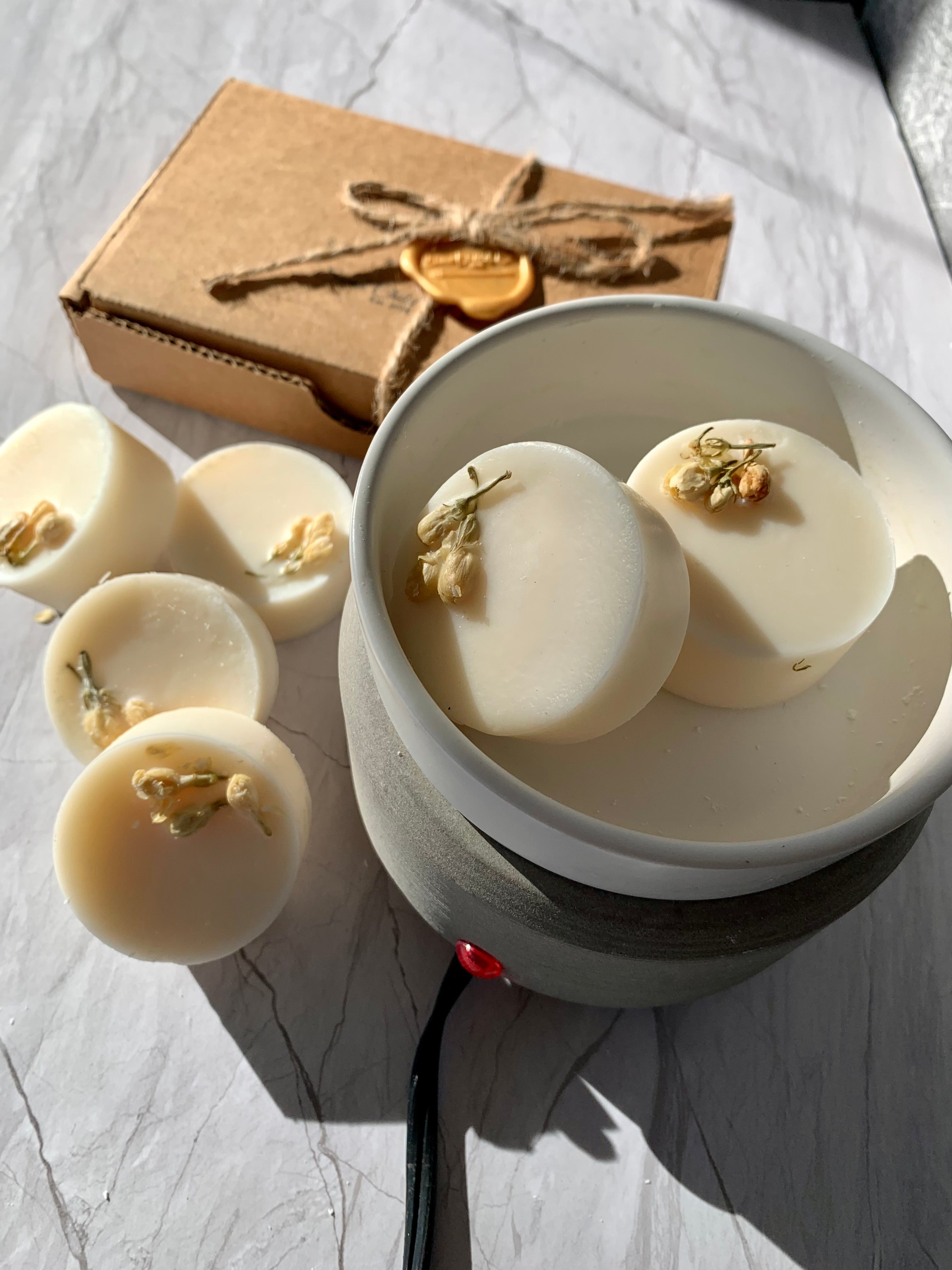 Wax Melt Warmer + Soy Wax Melt Pods Combo