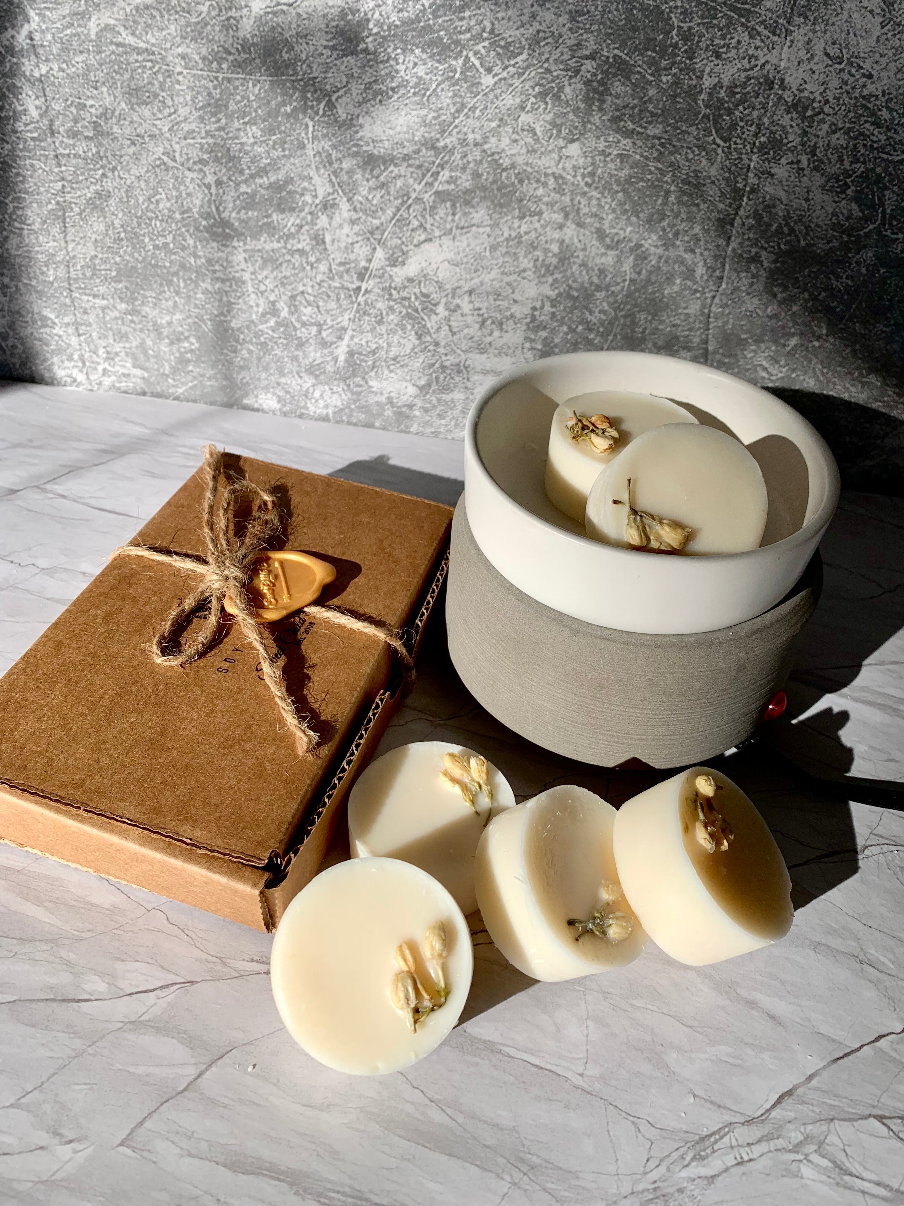 Wax Melt Warmer + Soy Wax Melt Pods Combo
