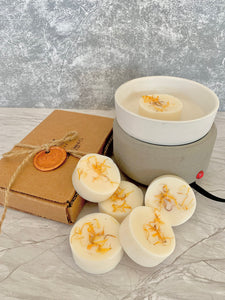 Wax Melt Warmer + Soy Wax Melt Pods Combo