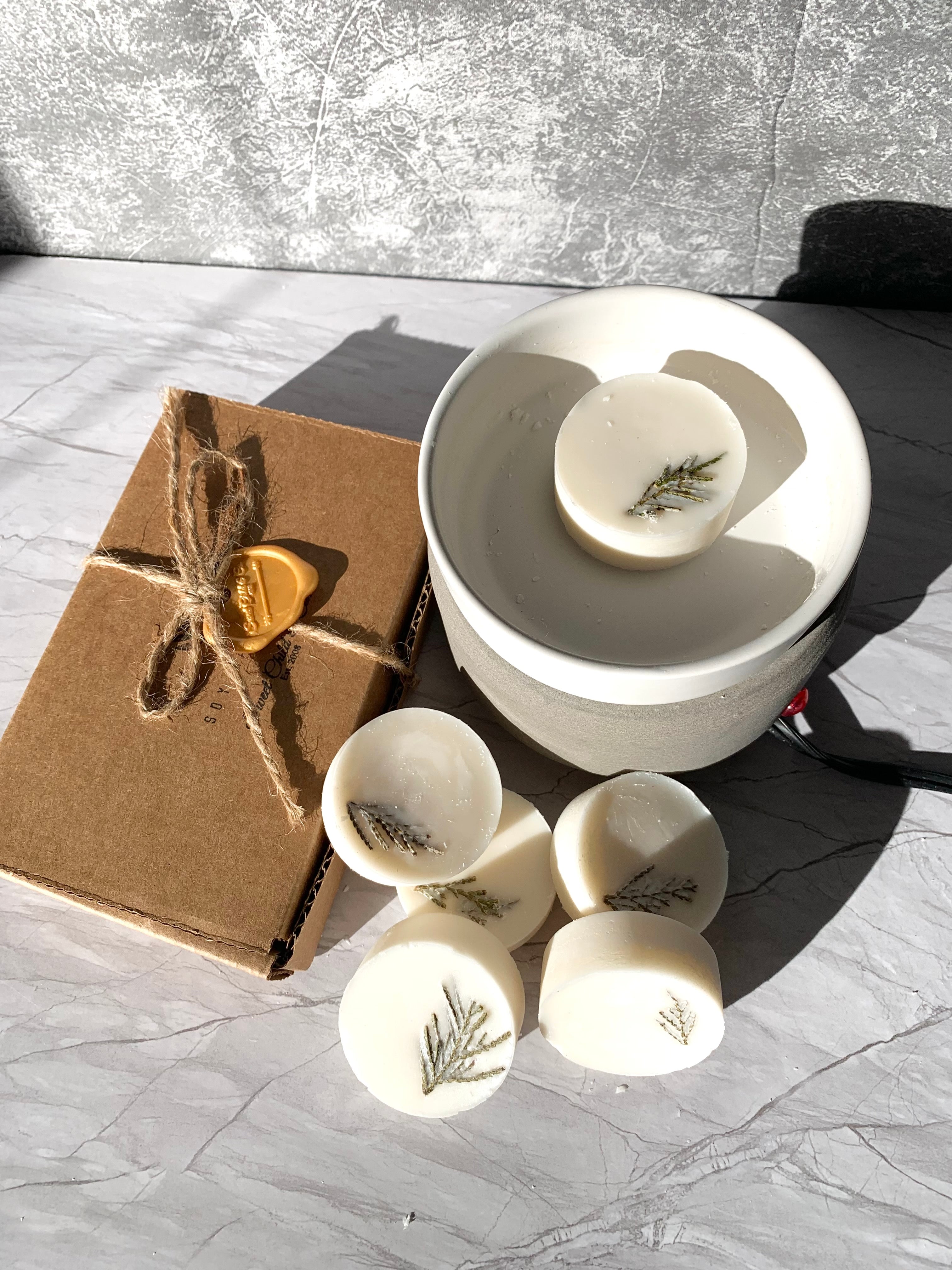 Wax Melt Warmer + Soy Wax Melt Pods Combo